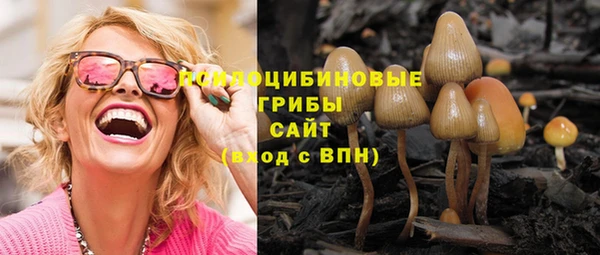 прущий лед Снежногорск