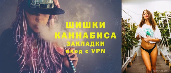 прущие грибы Гусев